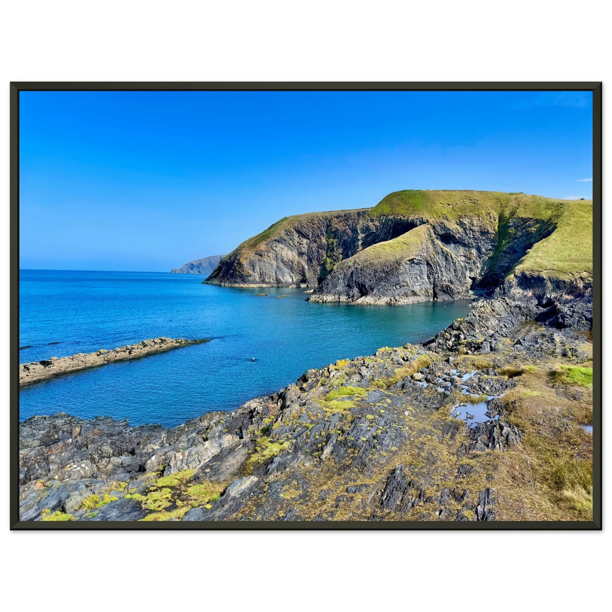 Ceibwr Bay Classic Matte Paper Metal Framed Poster Wall Art
